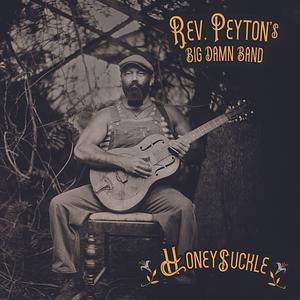 The Reverend Peyton's Big Damn Band