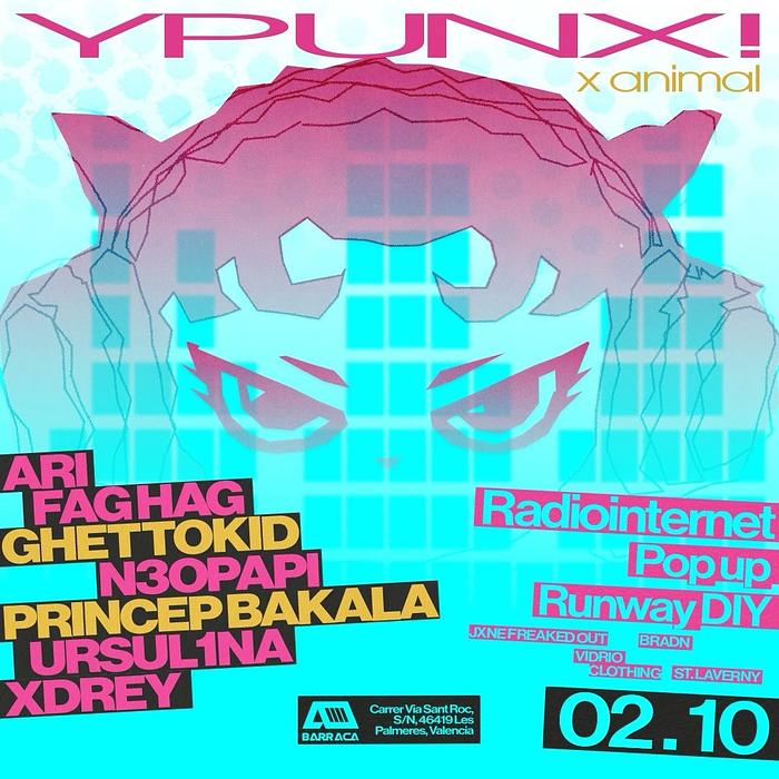 YPUNX x Animal